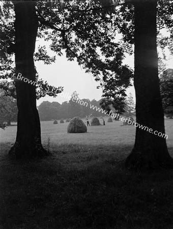 MAKING HAY STACKS